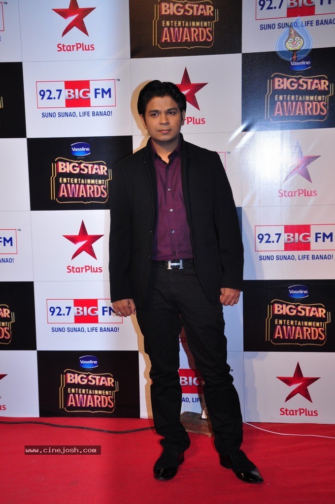 Bolly Celebs at Big Entertainment Awards 2014 - 40 / 110 photos