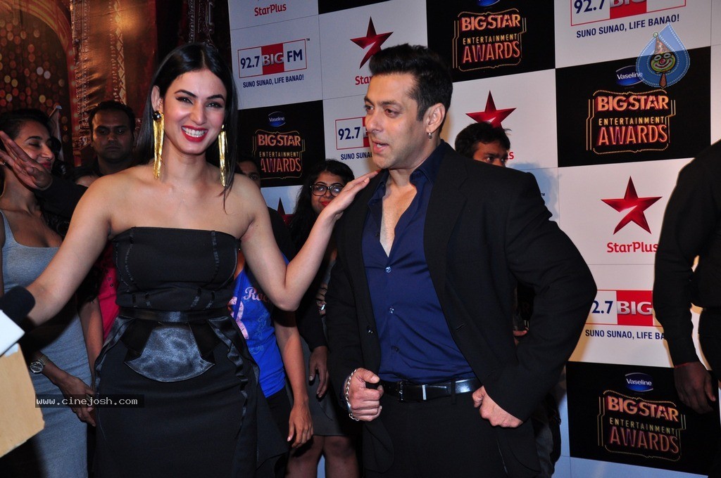 Bolly Celebs at Big Entertainment Awards 2014 - 82 / 110 photos