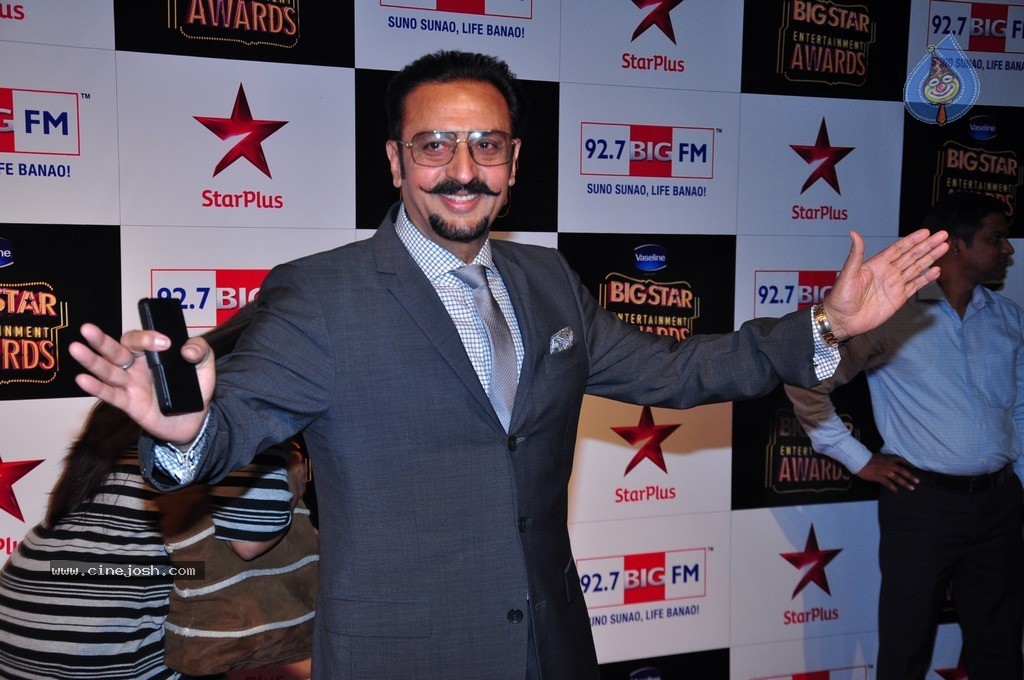 Bolly Celebs at Big Entertainment Awards 2014 - 90 / 110 photos