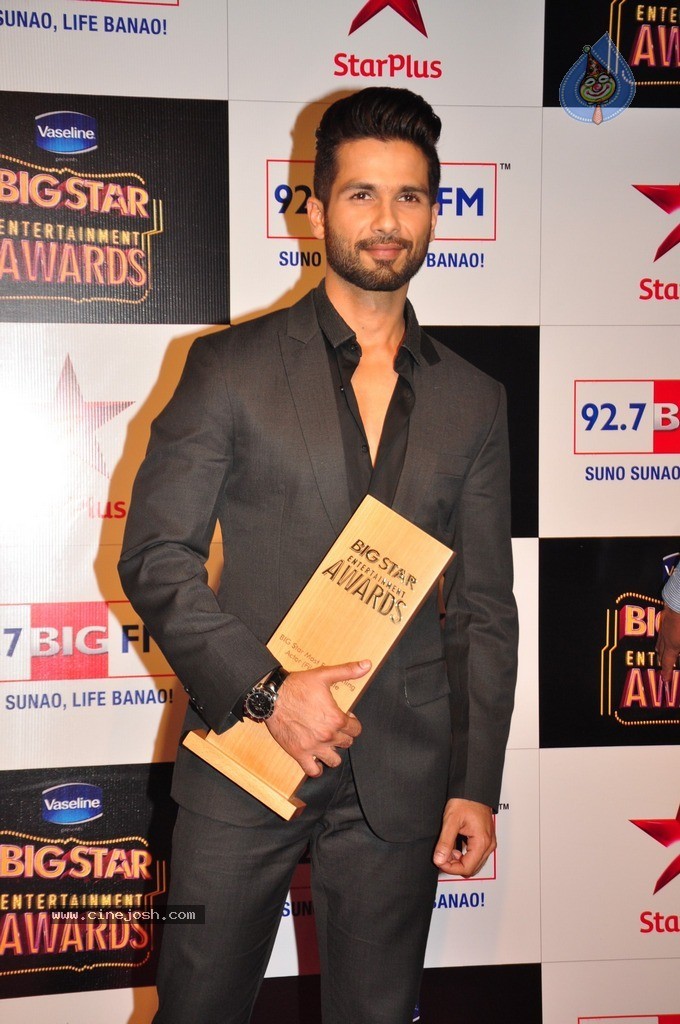 Bolly Celebs at Big Entertainment Awards 2014 - 97 / 110 photos