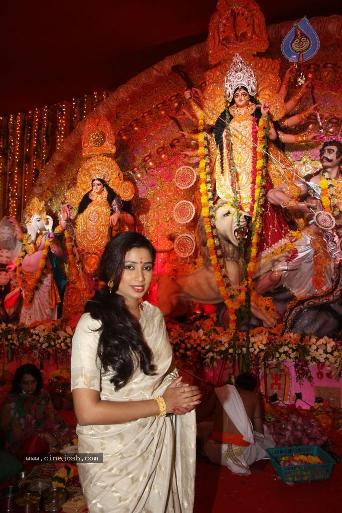 Bolly Celebs at Durga Pooja - 55 / 78 photos