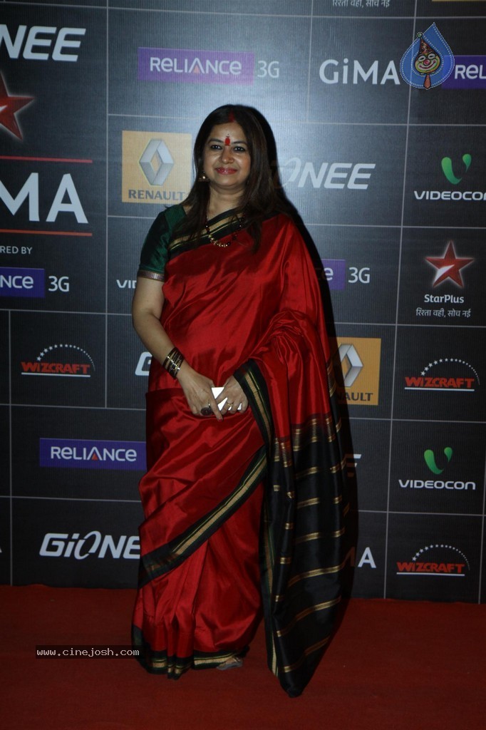 Bolly Celebs at GiMA Awards 2014 - 11 / 151 photos