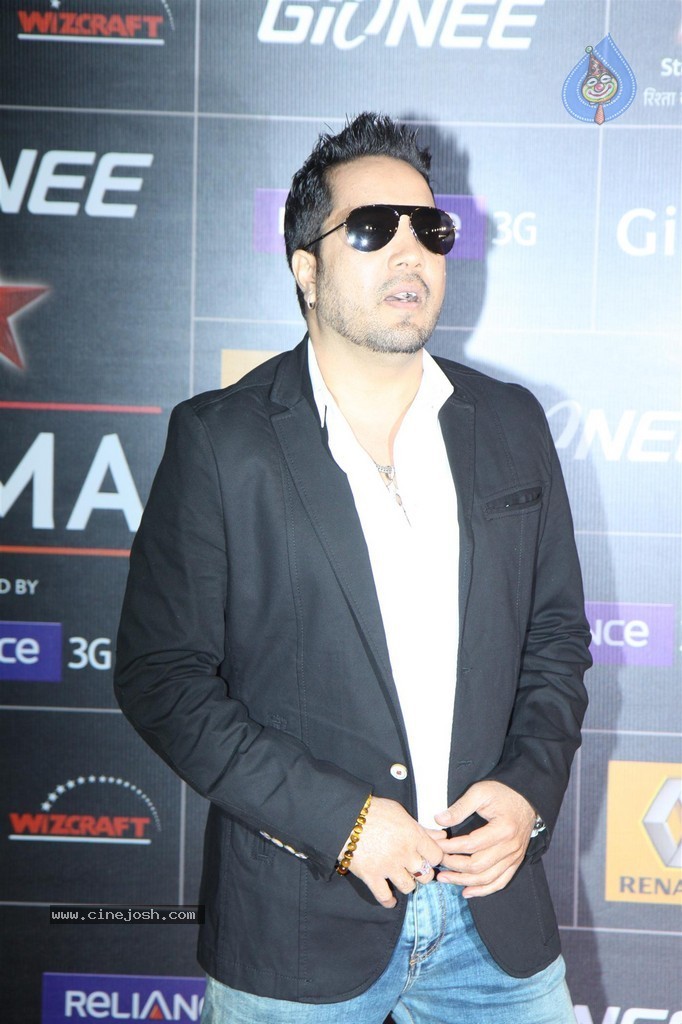 Bolly Celebs at GiMA Awards 2014 - 29 / 151 photos