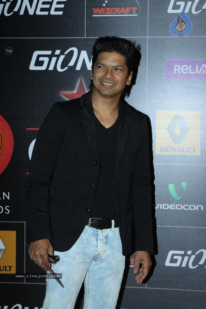 Bolly Celebs at GiMA Awards 2014 - 35 / 151 photos