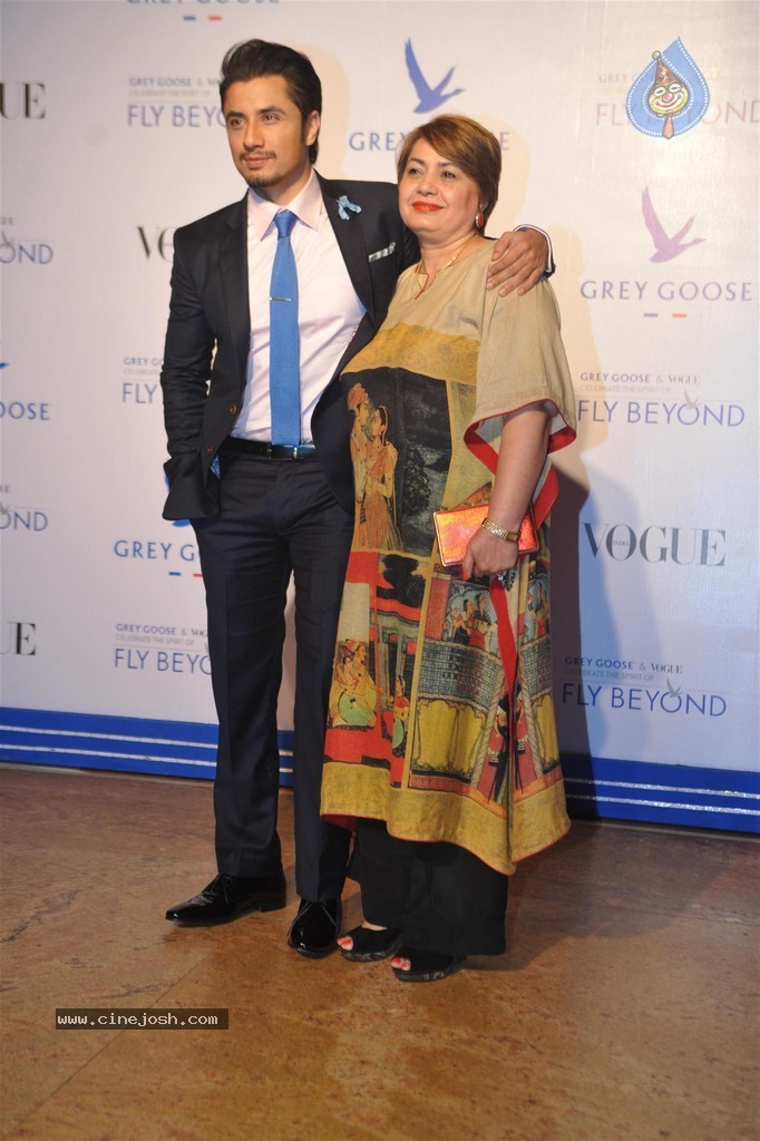 Bolly Celebs at Grey Goose Fly Beyond Awards 2014 - 57 / 152 photos