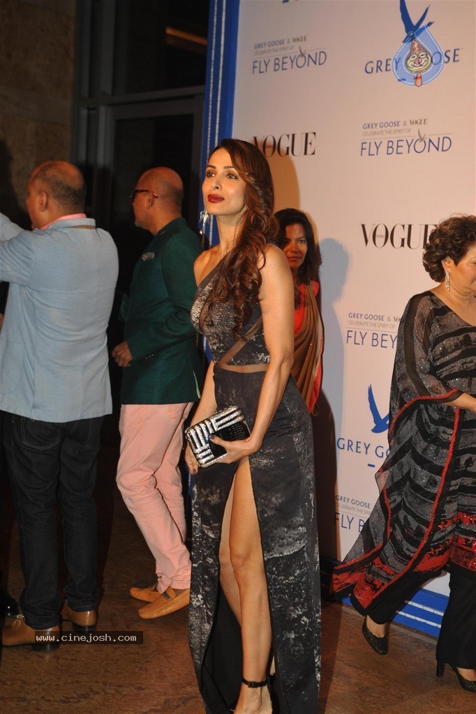 Bolly Celebs at Grey Goose Fly Beyond Awards 2014 - 75 / 152 photos