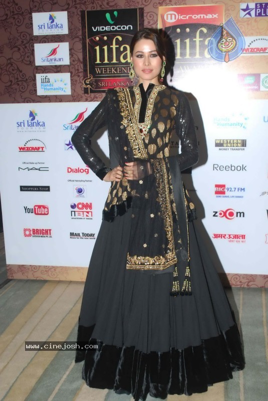 Bolly Celebs at IIFA Awards Event - 48 / 70 photos