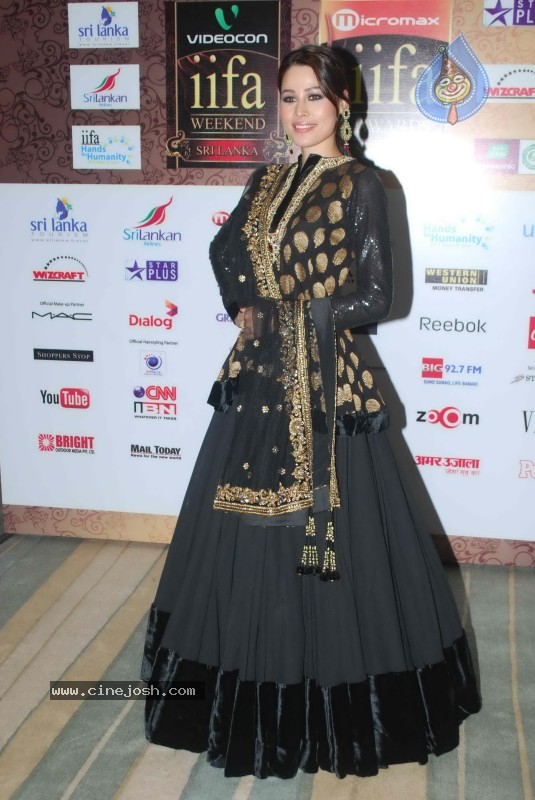 Bolly Celebs at IIFA Awards Event - 57 / 70 photos