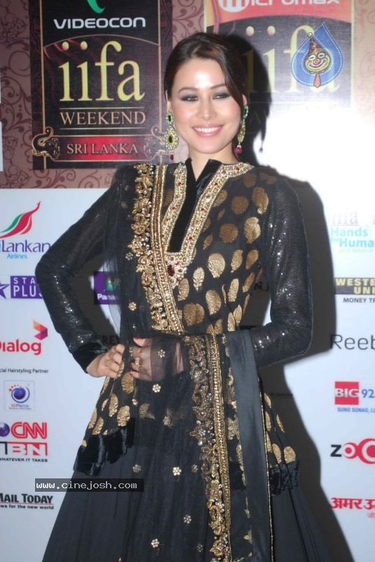 Bolly Celebs at IIFA Awards Event - 62 / 70 photos