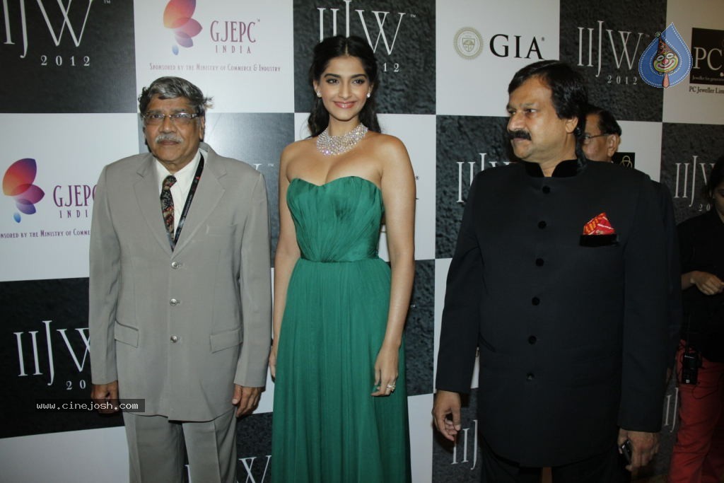 Bolly Celebs at IIJW 2012 Day 1 - 54 / 143 photos