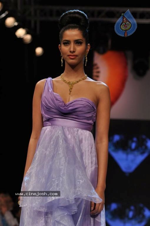 Bolly Celebs at IIJW 2012 Day 1 - 61 / 143 photos