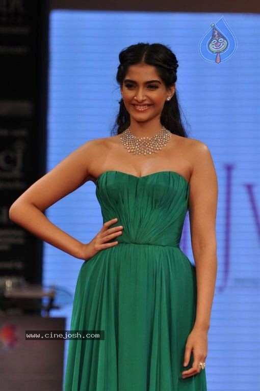 Bolly Celebs at IIJW 2012 Day 1 - 102 / 143 photos