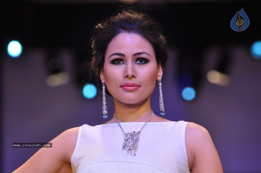 Bolly Celebs at IIJW 2012 Day 1 - 107 / 143 photos