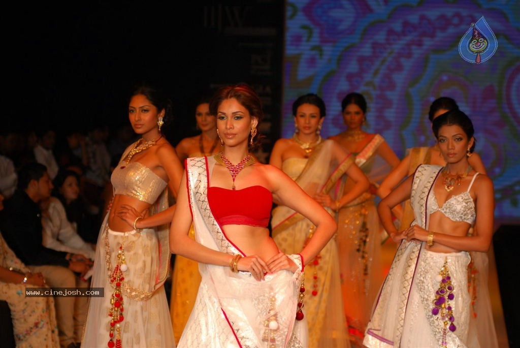 Bolly Celebs at IIJW 2012 Show - 29 / 247 photos