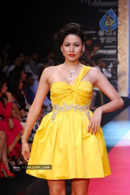 Bolly Celebs at IIJW 2012 Show - 73 / 247 photos