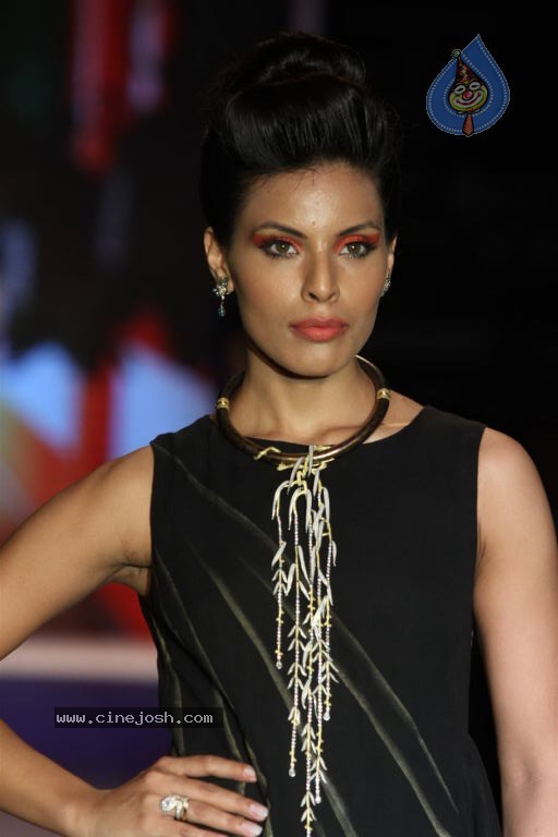 Bolly Celebs at IIJW 2012 Show - 124 / 247 photos
