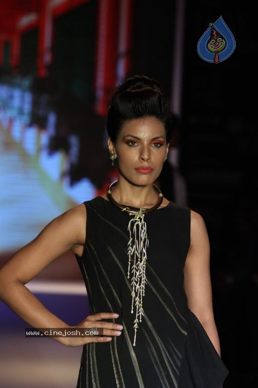 Bolly Celebs at IIJW 2012 Show - 157 / 247 photos