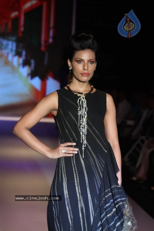 Bolly Celebs at IIJW 2012 Show - 178 / 247 photos