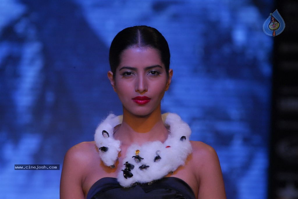 Bolly Celebs at IIJW 2012 Show - 204 / 247 photos