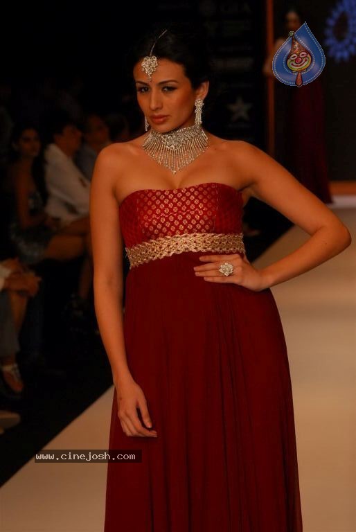 Bolly Celebs at IIJW 2012 Show - 205 / 247 photos