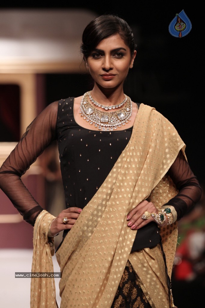 Bolly Celebs at IIJW Delhi 2013 Event - 1 / 54 photos