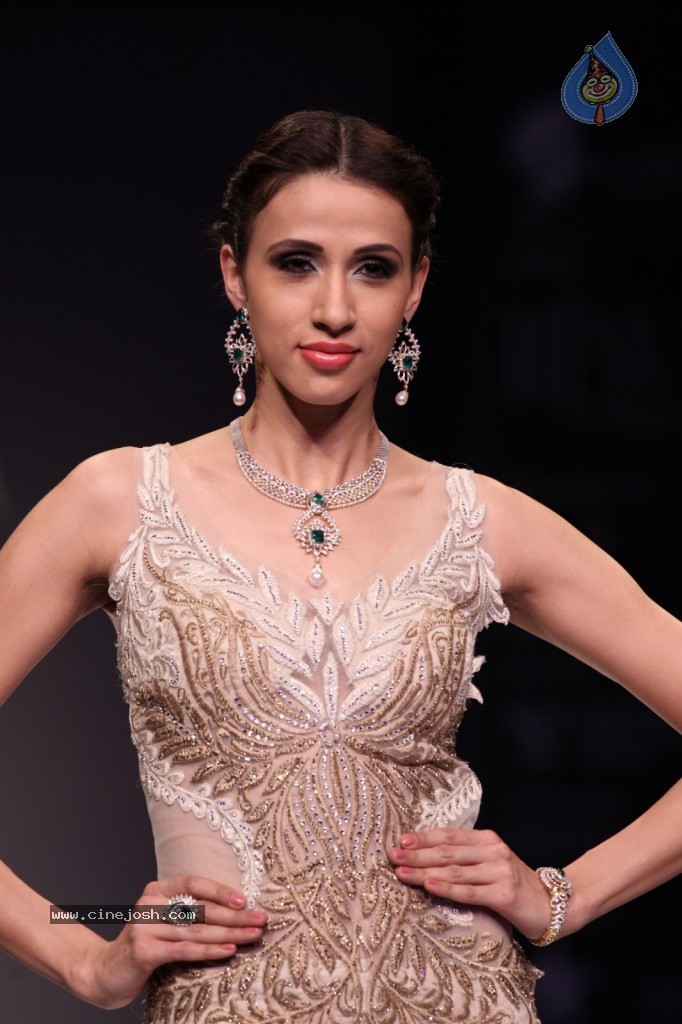 Bolly Celebs at IIJW Delhi 2013 Event - 43 / 54 photos