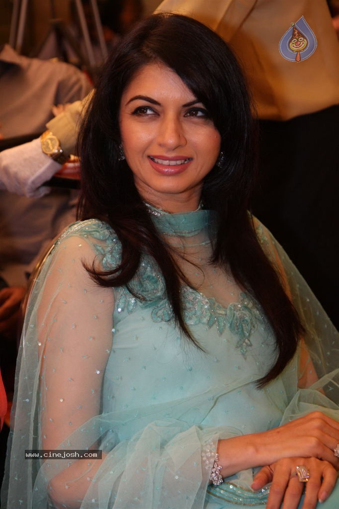 Bolly Celebrities at International Diamond Day Celebrations - 18 / 55 photos