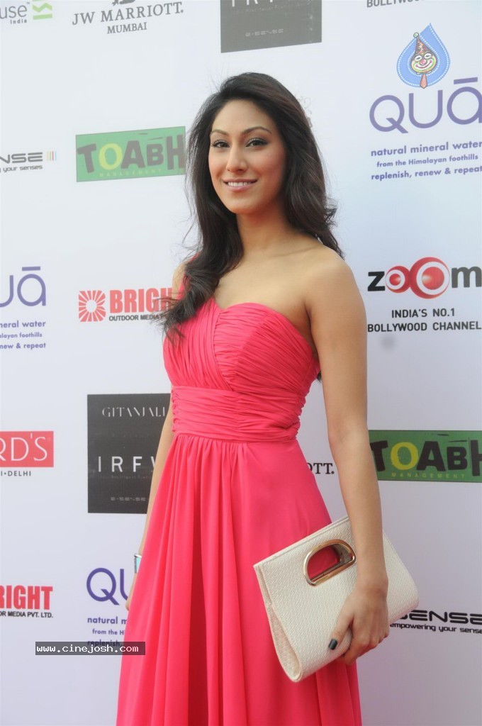 Bolly Celebs at IRWF 2013 Day 2 - 18 / 105 photos
