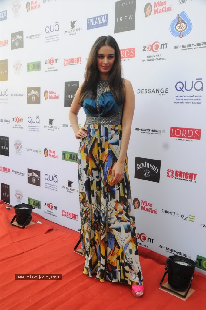 Bolly Celebs at IRWF 2013 Day 2 - 57 / 105 photos