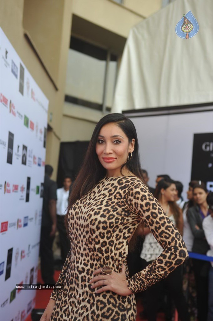 Bolly Celebs at IRWF 2013 Day 2 - 83 / 105 photos
