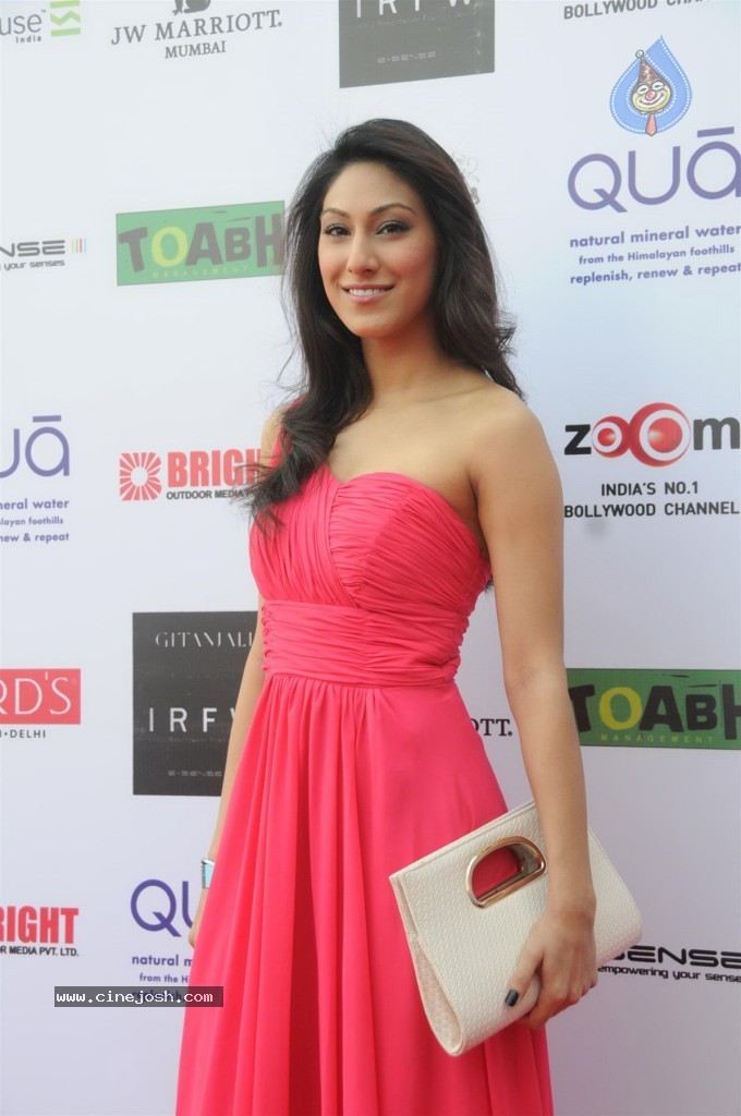 Bolly Celebs at IRWF 2013 Day 2 - 98 / 105 photos