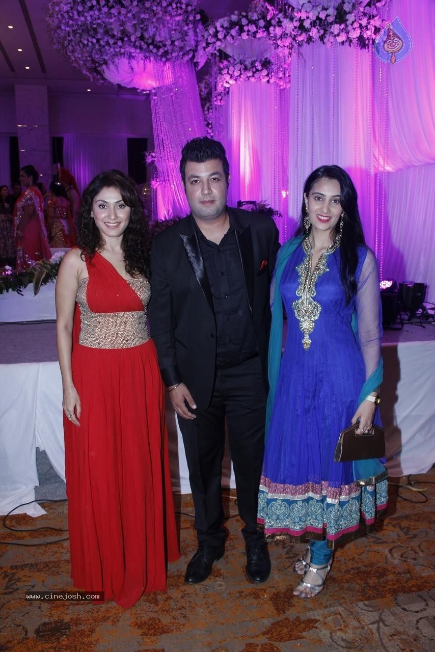 Bolly Celebs at Karishma Jain Wedding Reception - 5 / 46 photos