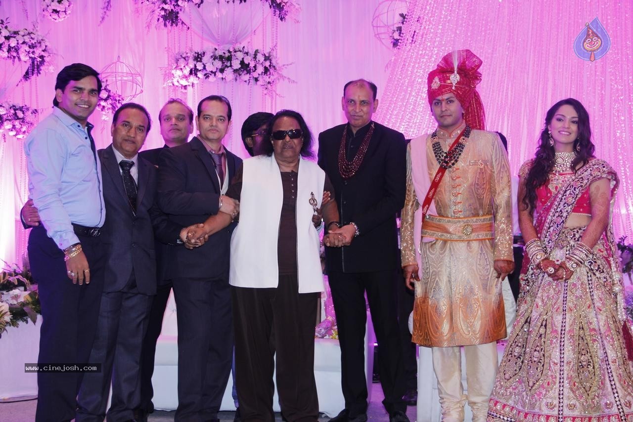 Bolly Celebs at Karishma Jain Wedding Reception - 11 / 46 photos