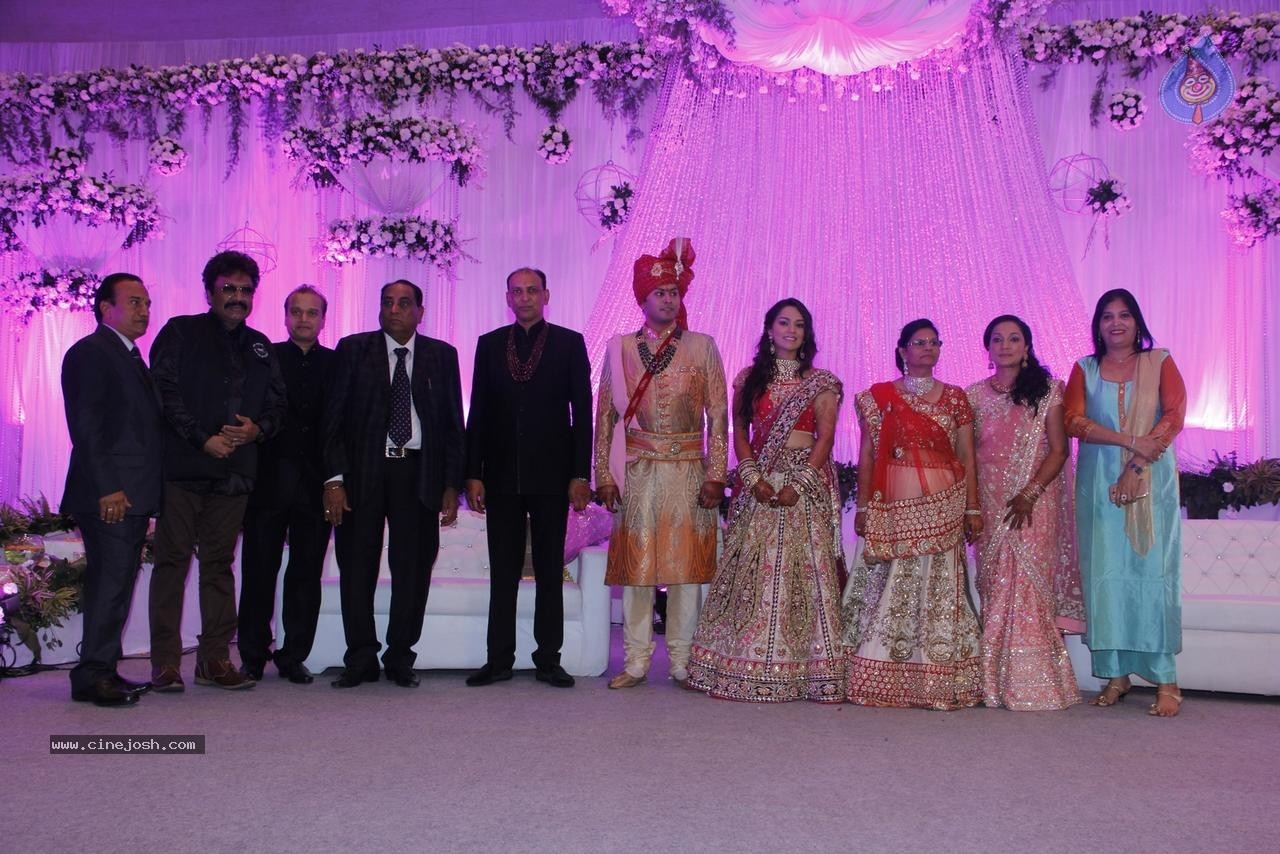 Bolly Celebs at Karishma Jain Wedding Reception - 21 / 46 photos