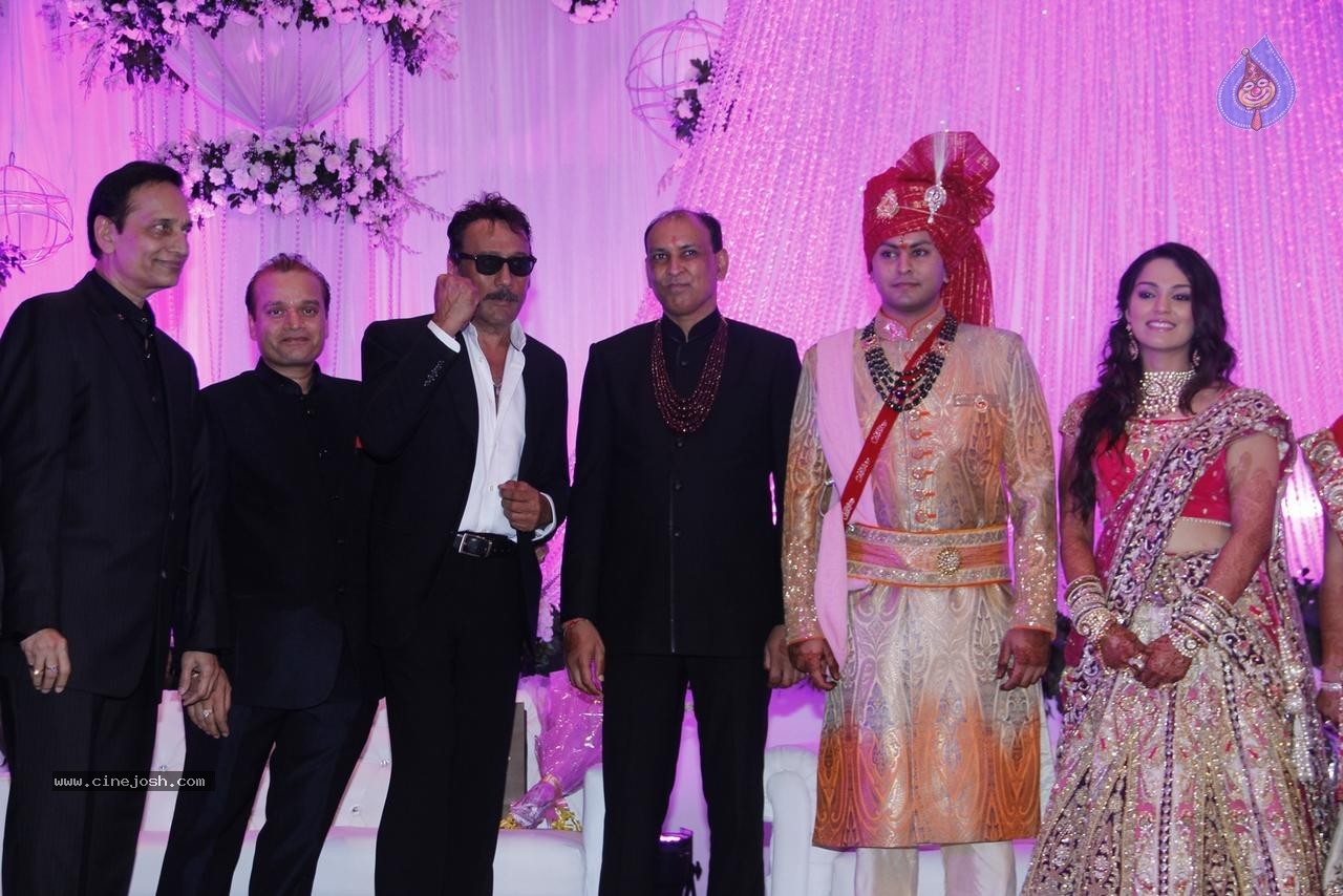 Bolly Celebs at Karishma Jain Wedding Reception - 29 / 46 photos