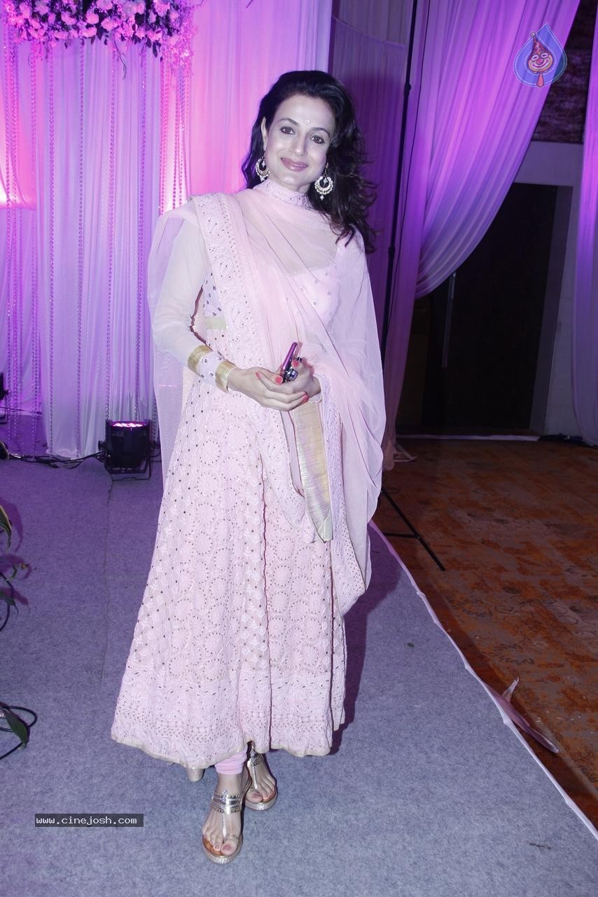 Bolly Celebs at Karishma Jain Wedding Reception - 32 / 46 photos