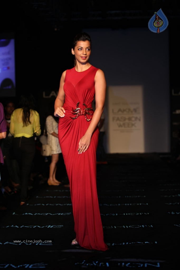 Bolly Celebs at LFW 2013 Winter Festive - 02 - 19 / 100 photos