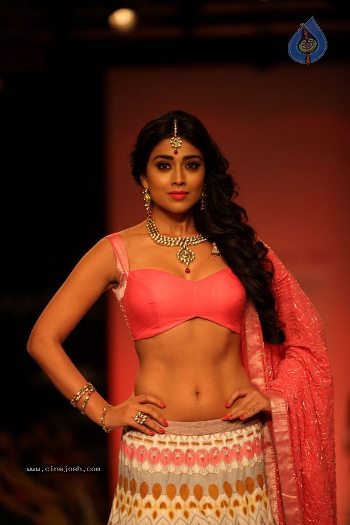 Bolly Celebs at LFW Winter Festive 2013 Day 4 - 24 / 109 photos