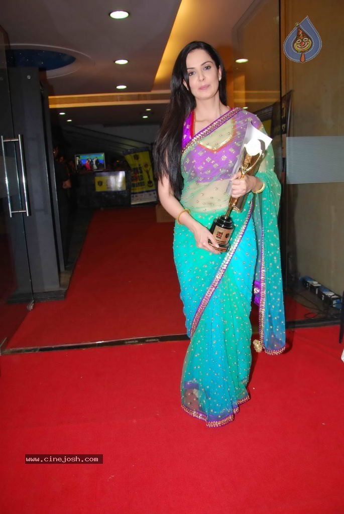 Bolly Celebs at Lions Gold Awards Event - 56 / 79 photos