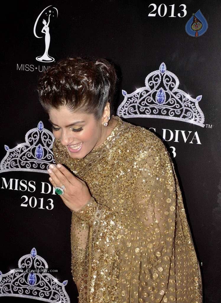 Bolly Celebs at On Red Carpet of Miss Diva 2013 - 10 / 22 photos