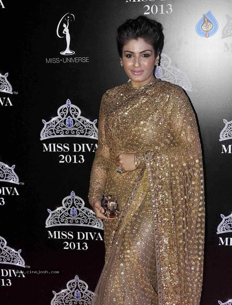Bolly Celebs at On Red Carpet of Miss Diva 2013 - 19 / 22 photos