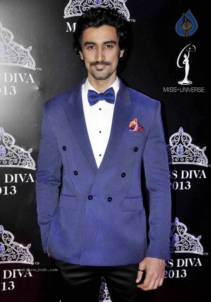 Bolly Celebs at On Red Carpet of Miss Diva 2013 - 20 / 22 photos