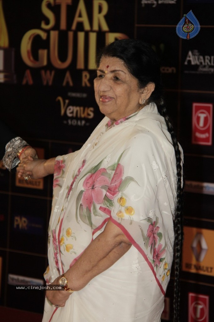 Bolly Celebs at Renault Star Guild Awards 2013 - 17 / 112 photos