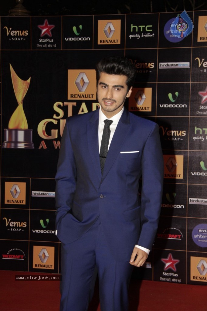 Bolly Celebs at Renault Star Guild Awards 2013 - 20 / 112 photos