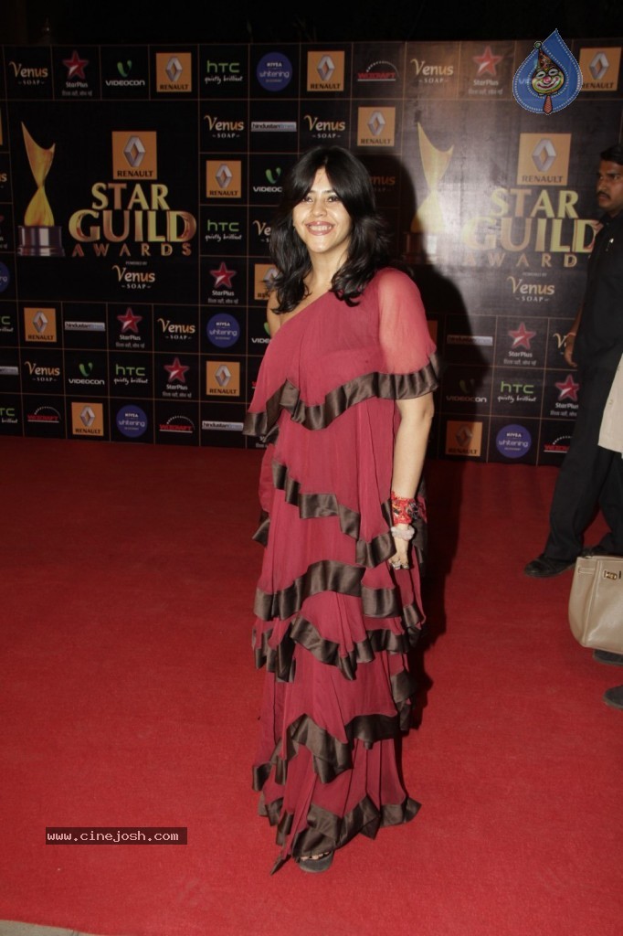 Bolly Celebs at Renault Star Guild Awards 2013 - 22 / 112 photos