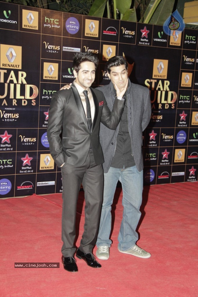 Bolly Celebs at Renault Star Guild Awards 2013 - 84 / 112 photos
