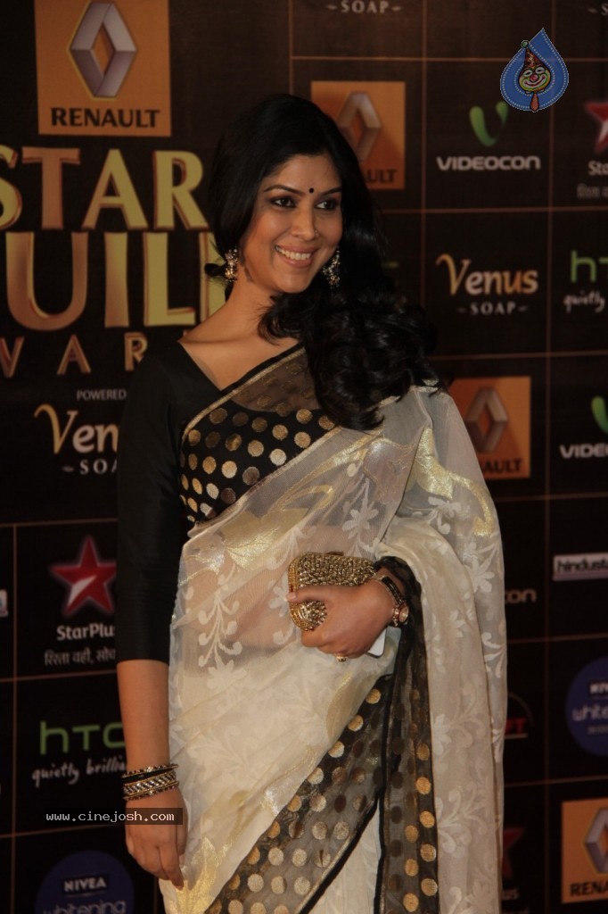 Bolly Celebs at Renault Star Guild Awards 2013 - 109 / 112 photos