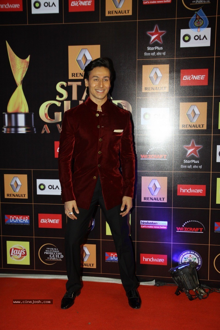 Bolly Celebs at Star Guild Awards 2015 - 3 / 84 photos