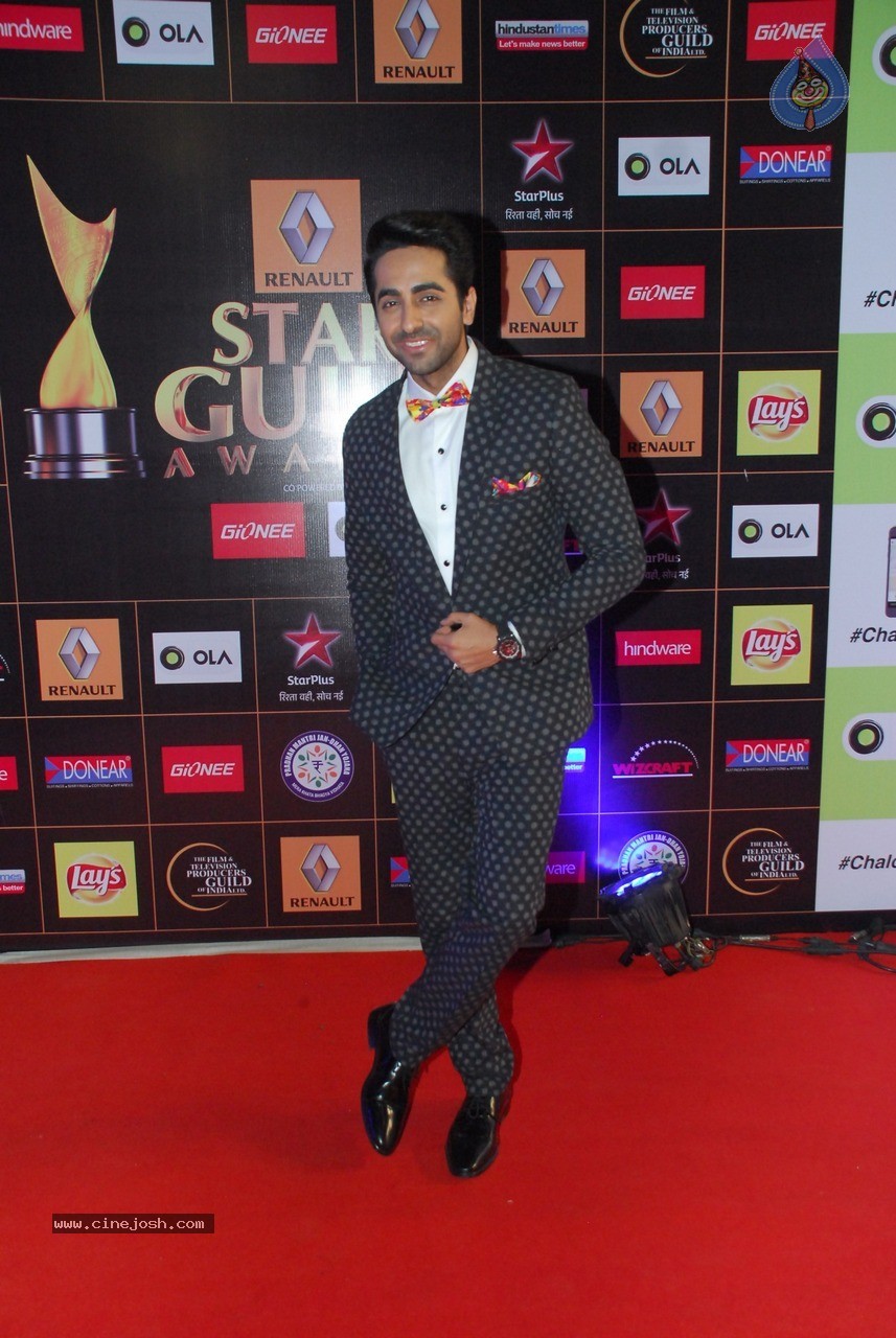 Bolly Celebs at Star Guild Awards 2015 - 12 / 84 photos