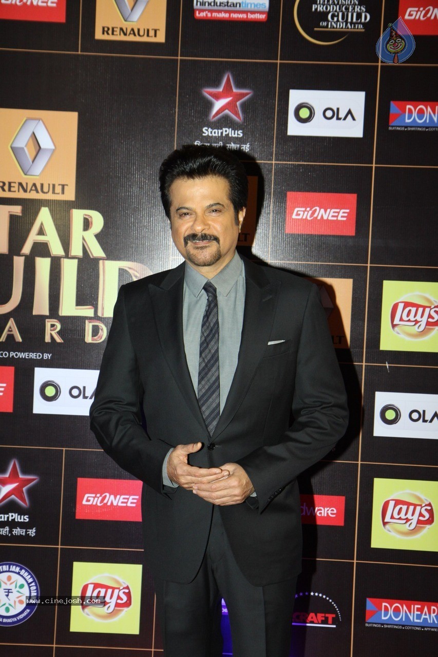 Bolly Celebs at Star Guild Awards 2015 - 52 / 84 photos